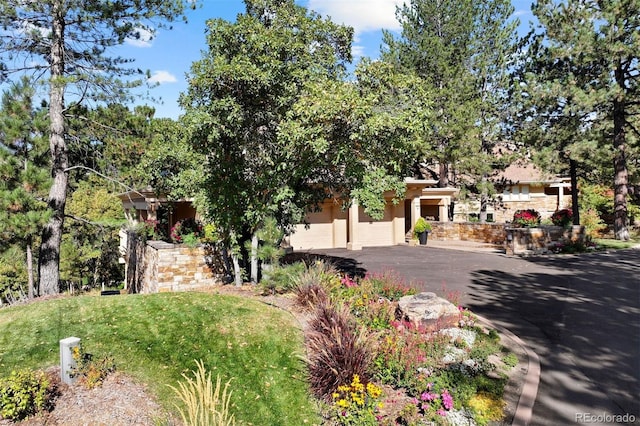 obstructed view of property with a front lawn and a garage