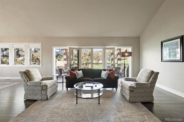 living room featuring lofted ceiling, hardwood / wood-style floors, and plenty of natural light