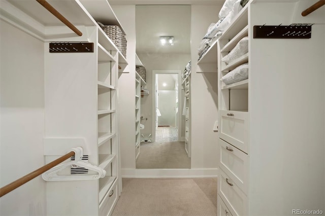 spacious closet featuring light carpet