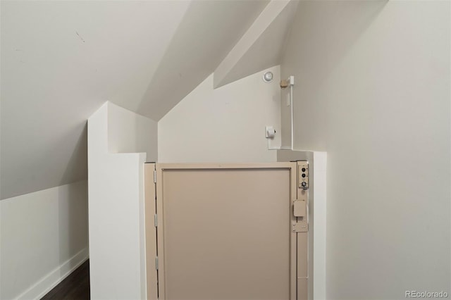 bathroom with hardwood / wood-style flooring and vaulted ceiling