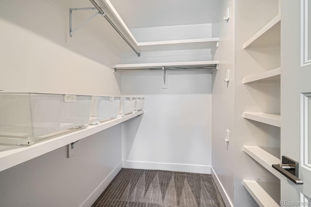 spacious closet featuring carpet flooring