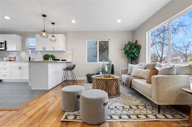 living room with wood-type flooring