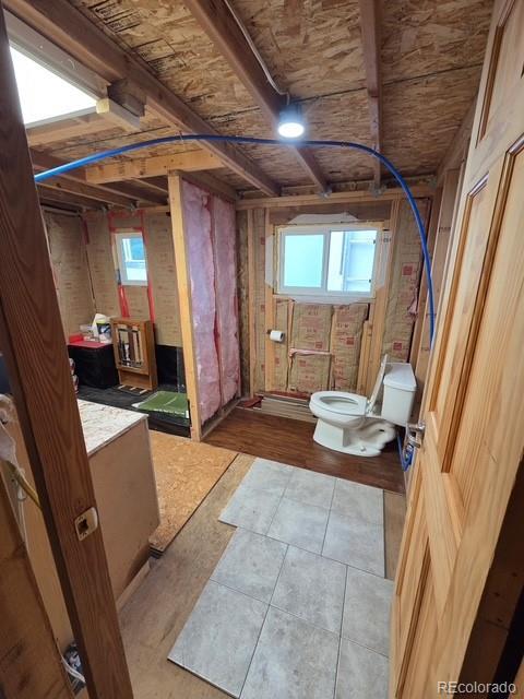 325 Aspen Rd, Idaho Springs, CO 80452 - bathroom featuring toilet and plenty of natural light