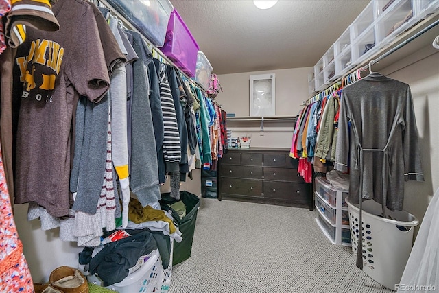 walk in closet with carpet floors