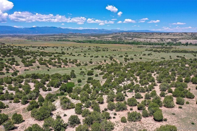 5900 Burnt Mill Rd, Beulah, CO 81023 - photo 4