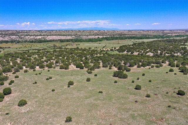 5900 Burnt Mill Rd, Beulah, CO 81023 - photo 6