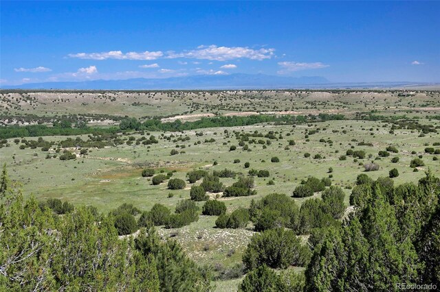 5900 Burnt Mill Rd, Beulah, CO 81023 - photo 8