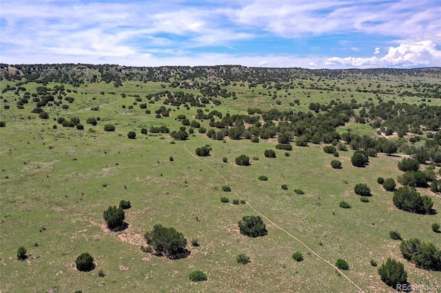 5900 Burnt Mill Rd, Beulah, CO 81023 - photo 10