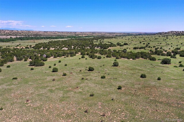 5900 Burnt Mill Rd, Beulah, CO 81023 - photo 11
