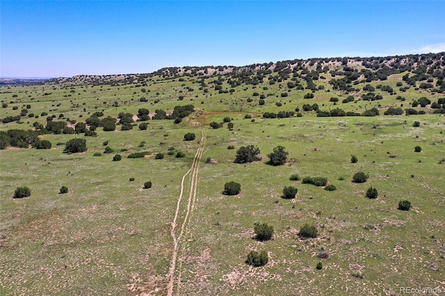 5900 Burnt Mill Rd, Beulah, CO 81023 - photo 12