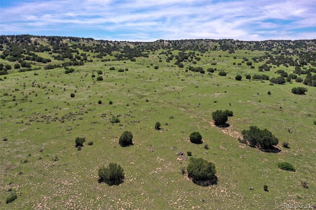 5900 Burnt Mill Rd, Beulah, CO 81023 - photo 13