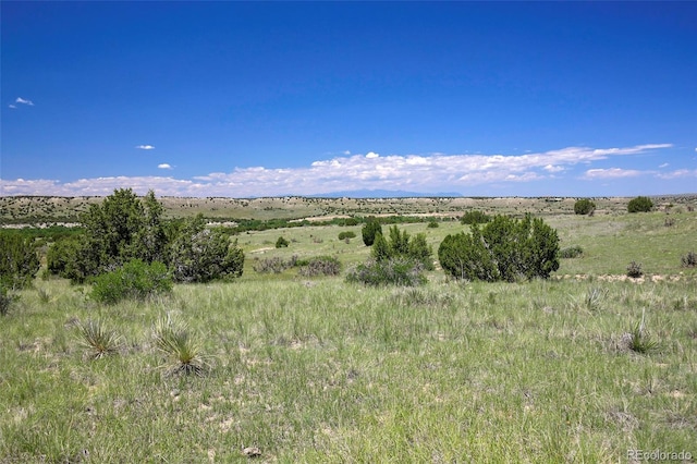 5900 Burnt Mill Rd, Beulah, CO 81023 - photo 14