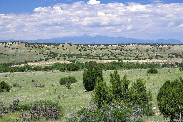 5900 Burnt Mill Rd, Beulah, CO 81023 - photo 15