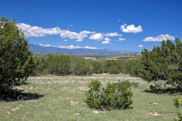 5900 Burnt Mill Rd, Beulah, CO 81023 - photo 16