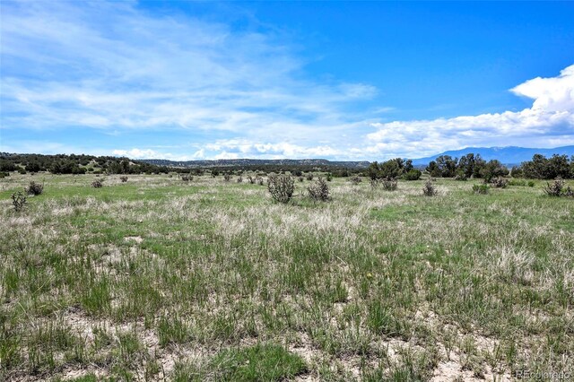 5900 Burnt Mill Rd, Beulah, CO 81023 - photo 17