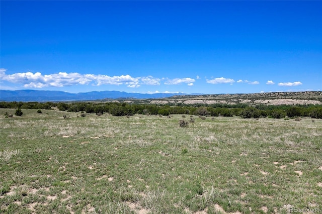 5900 Burnt Mill Rd, Beulah, CO 81023 - photo 19