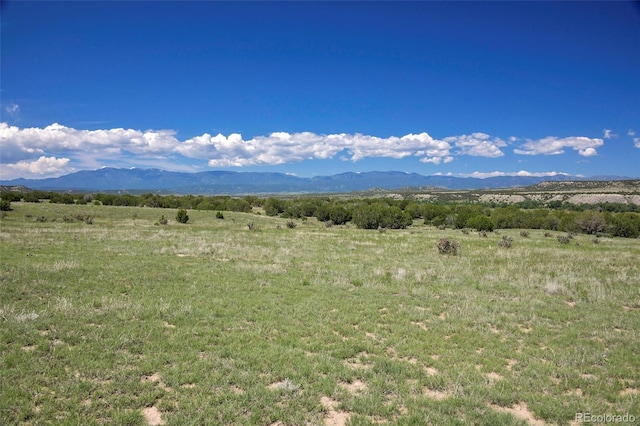 5900 Burnt Mill Rd, Beulah, CO 81023 - photo 22