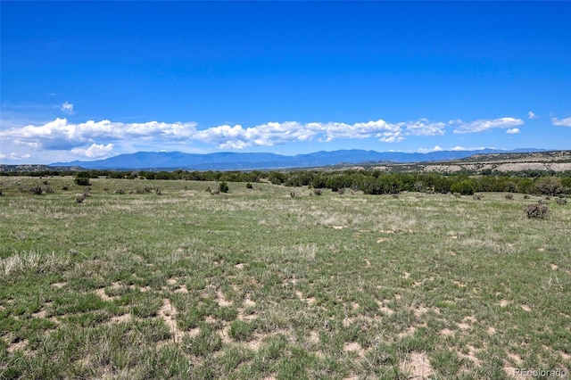 5900 Burnt Mill Rd, Beulah, CO 81023 - photo 23