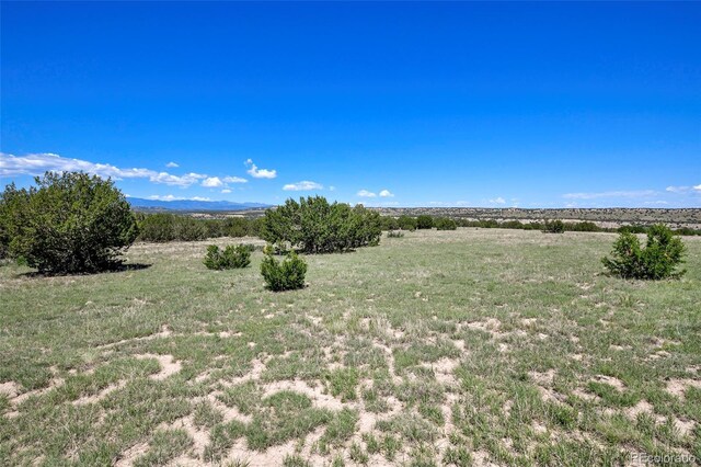 5900 Burnt Mill Rd, Beulah, CO 81023 - photo 24
