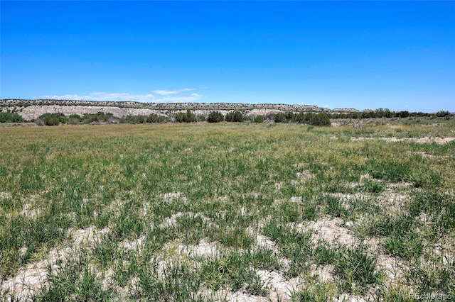 5900 Burnt Mill Rd, Beulah, CO 81023 - photo 26