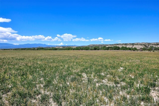 5900 Burnt Mill Rd, Beulah, CO 81023 - photo 29