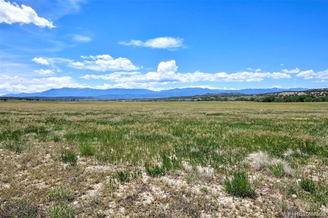 5900 Burnt Mill Rd, Beulah, CO 81023 - photo 31