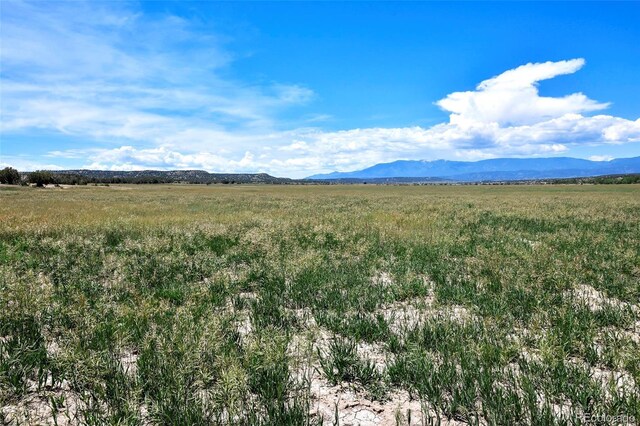 5900 Burnt Mill Rd, Beulah, CO 81023 - photo 32
