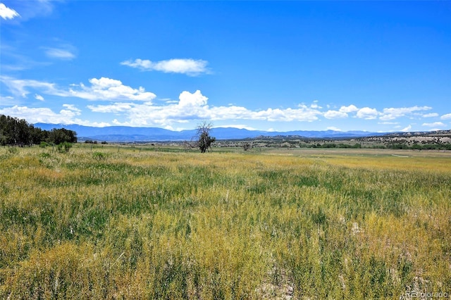 5900 Burnt Mill Rd, Beulah, CO 81023 - photo 33