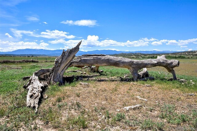 5900 Burnt Mill Rd, Beulah, CO 81023 - photo 35