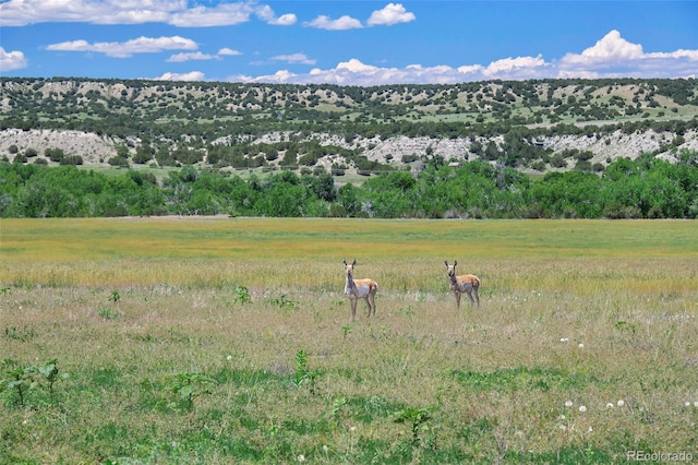 5900 Burnt Mill Rd, Beulah, CO 81023 - photo 36