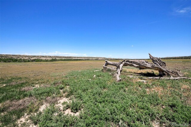 5900 Burnt Mill Rd, Beulah, CO 81023 - photo 37