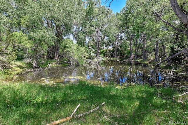 5900 Burnt Mill Rd, Beulah, CO 81023 - photo 44