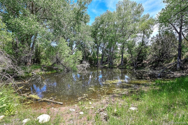 5900 Burnt Mill Rd, Beulah, CO 81023 - photo 47