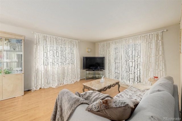 living room featuring hardwood / wood-style floors