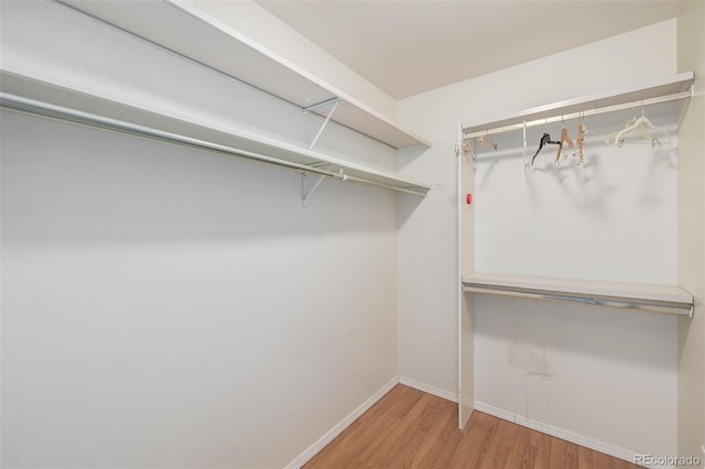 spacious closet with hardwood / wood-style floors