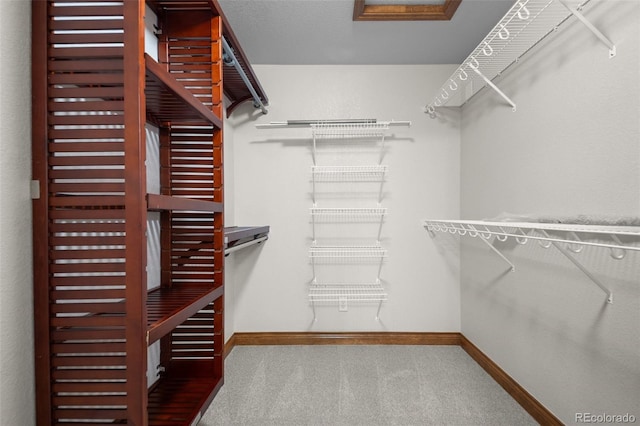 spacious closet featuring carpet flooring