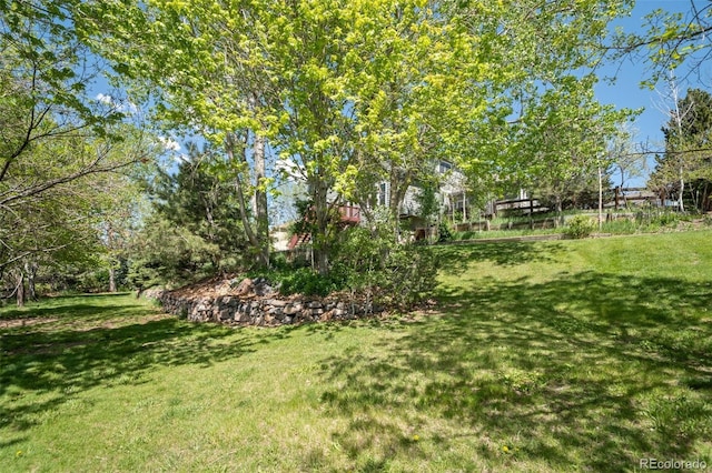 view of grassy yard