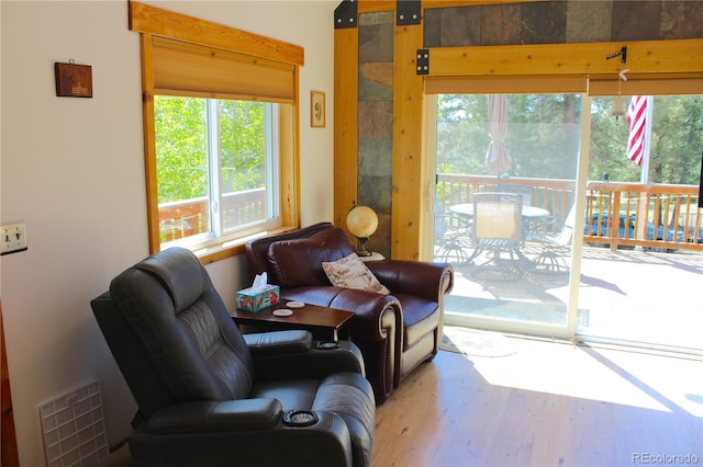 975 Windmill Dr, Hartsel, CO 80449 - living area with wood finished floors