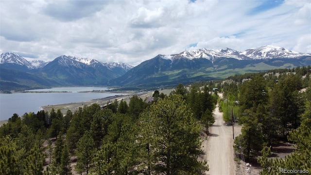 142 La Plata Peak Dr, Twin Lakes, CO 81251 - photo 15