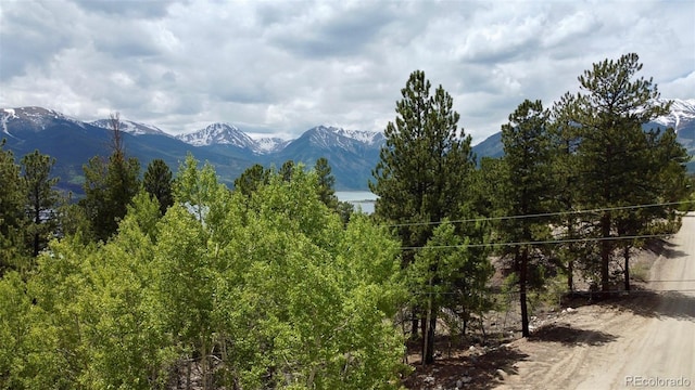 142 La Plata Peak Dr, Twin Lakes, CO 81251 - photo 16