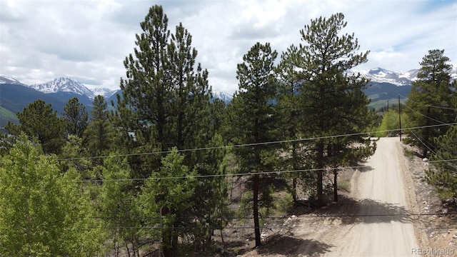 142 La Plata Peak Dr, Twin Lakes, CO 81251 - photo 17