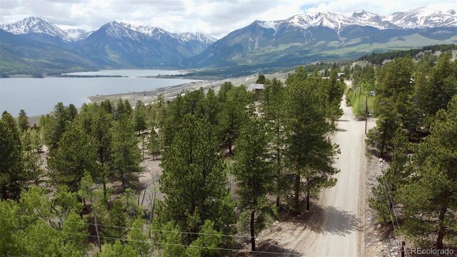 142 La Plata Peak Dr, Twin Lakes, CO 81251 - photo 18