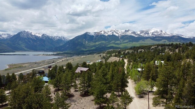142 La Plata Peak Dr, Twin Lakes, CO 81251 - photo 19