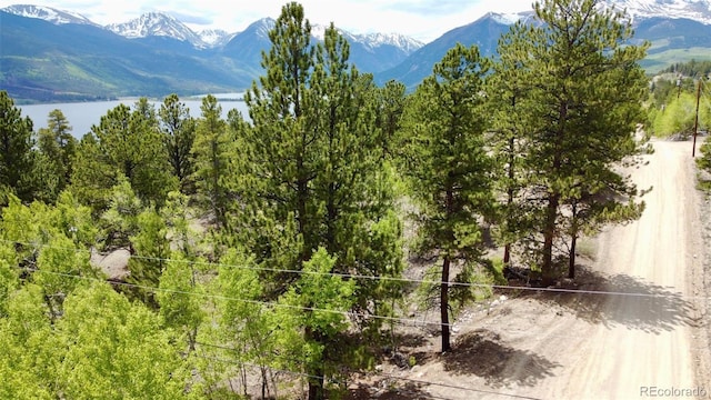 142 La Plata Peak Dr, Twin Lakes, CO 81251 - photo 1