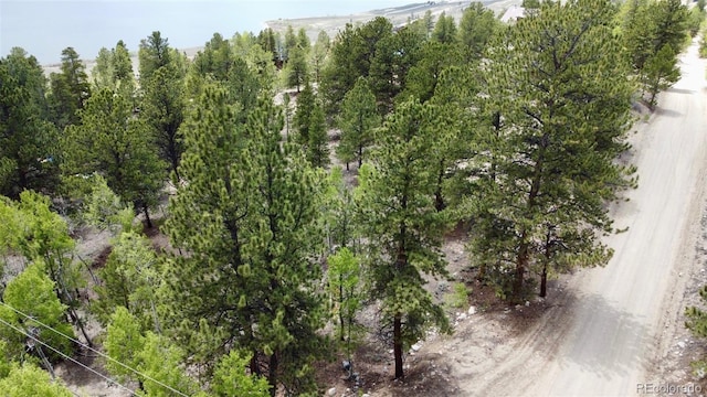 142 La Plata Peak Dr, Twin Lakes, CO 81251 - photo 2