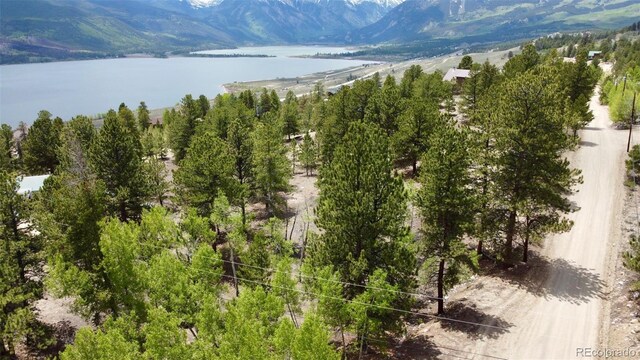 142 La Plata Peak Dr, Twin Lakes, CO 81251 - photo 3