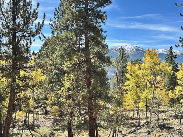 142 La Plata Peak Dr, Twin Lakes, CO 81251 - photo 4