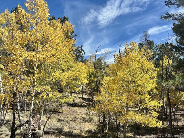 142 La Plata Peak Dr, Twin Lakes, CO 81251 - photo 6