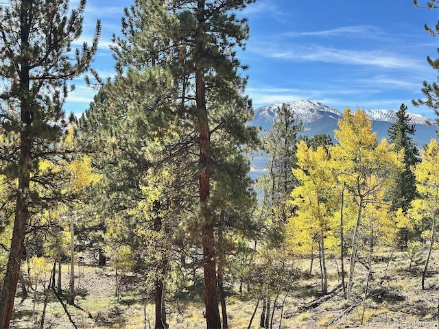 142 La Plata Peak Dr, Twin Lakes, CO 81251 - photo 7