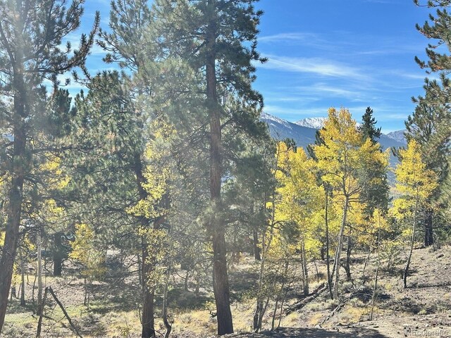 142 La Plata Peak Dr, Twin Lakes, CO 81251 - photo 8